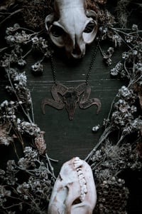 Image 2 of Ram skull necklace 