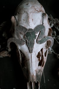 Image 1 of Ram skull necklace 