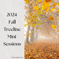 Image 1 of 2024 Fall Treeline Mini Sessions $149 plus tax ($99 to book, remainder due 2 weeks before session)