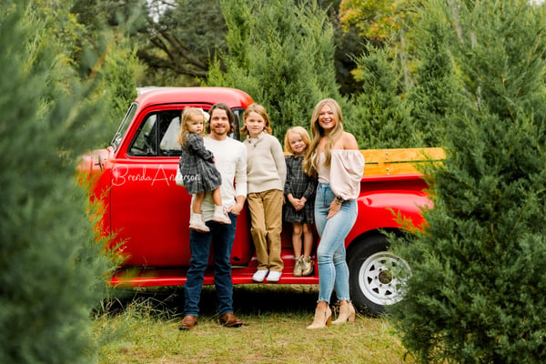 Image of HOWEY-IN-THE-HILLS Misty Mountain Christmas Tree Minis