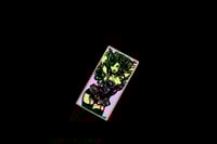 Image 3 of Wanna Get Stoned?