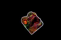Image 2 of Neon Lizard
