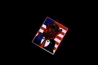 Image 3 of Fascist Pig