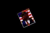 Image 4 of Fascist Pig