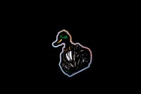 Image 4 of What the Duck?
