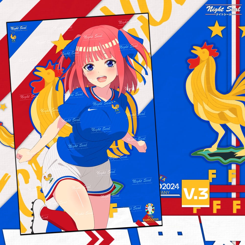 Image of FRANCE (UEFA Euro)
