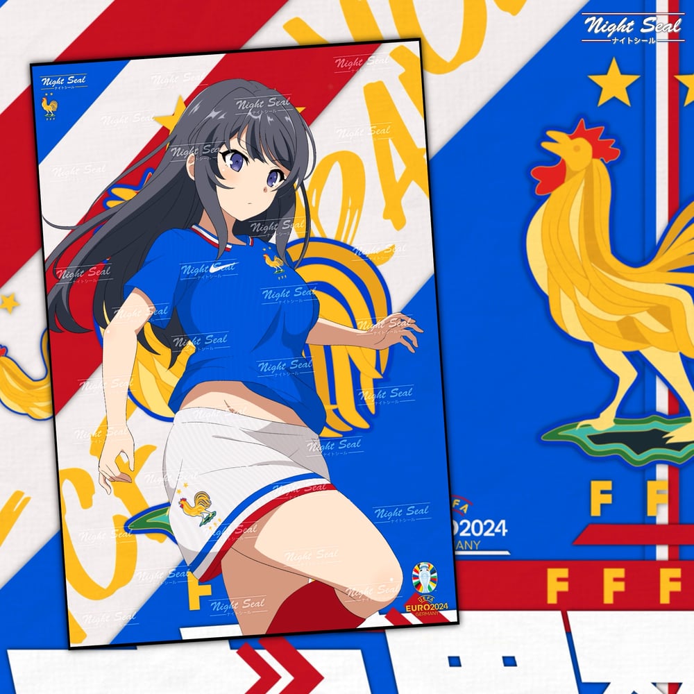 Image of FRANCE (UEFA Euro)