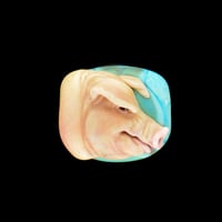 Image 1 of Med. MINI Pig on TURQUOISE - Flamework Glass Sculpture Bead