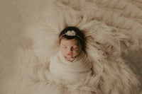 Image 1 of Newborn Session Poem Collection