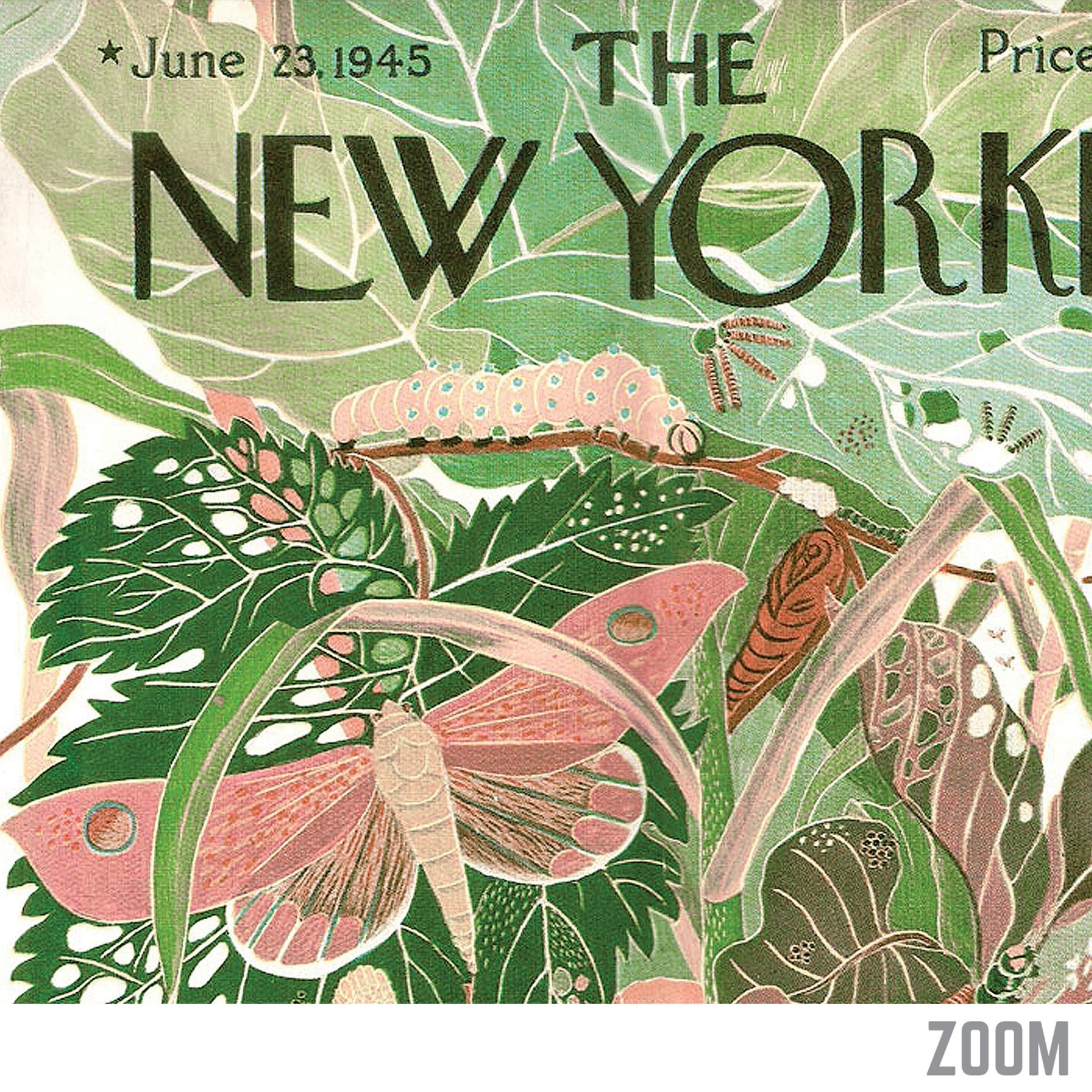 New Yorker Discount Code New York Magazine Promo Code Discount