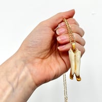 Image 1 of Sheep tooth necklace I