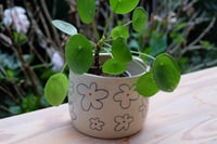 Image 1 of Lil flowers pot. 