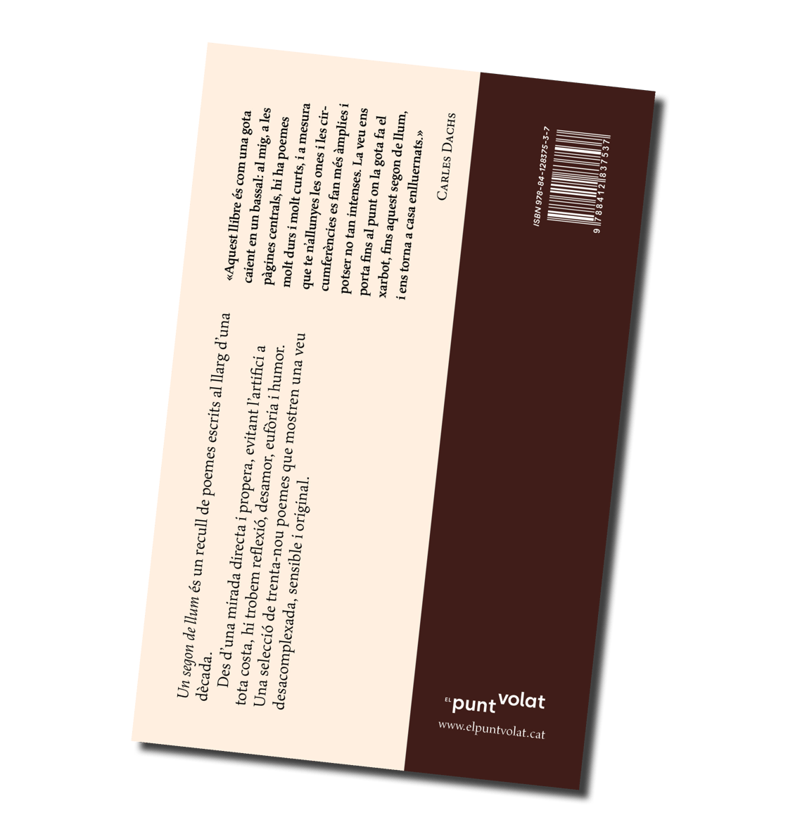 Image of Un segon de llum, de Guillem Ramisa