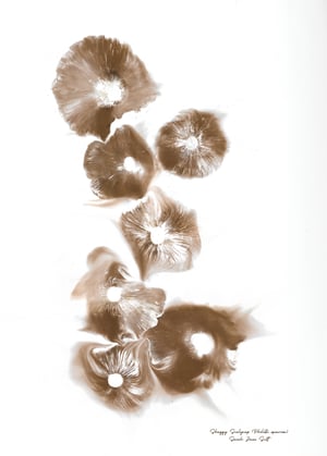 Image of Shaggy Scalycap (Pholiota squarrosa)