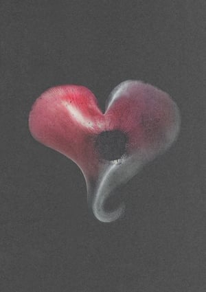 Image of Honey Fungus Heart (Armillaria mellea)