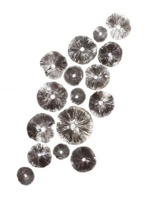 Image of Woodland Inkcap (Coprinellus silvaticus)