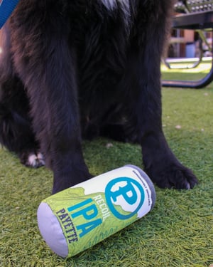 Image of Recoil IPA Can Dog Toy