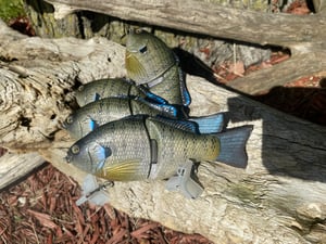 Image of 6” Ann Xslowsink (The Natural)