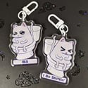 Tummy Ache Cats Double-Sided Charms