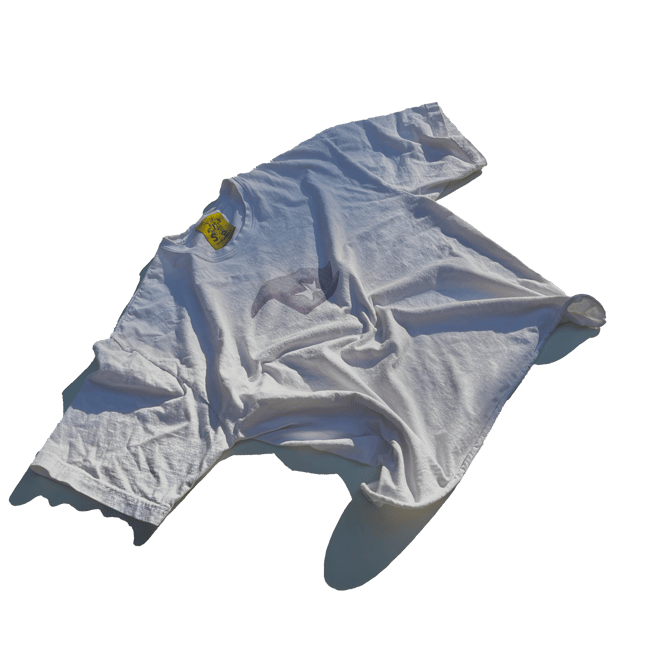 Chameleon Research Tee