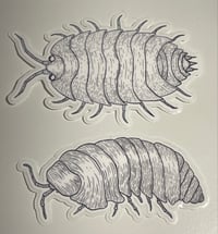 Rollie Pollies Sticker