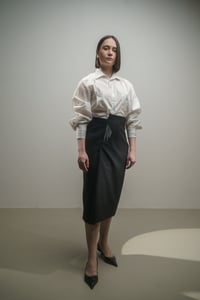 Image 1 of SKIRT 201