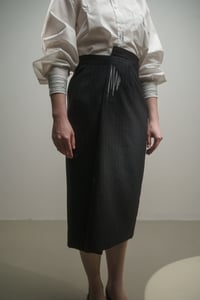 Image 2 of SKIRT 201