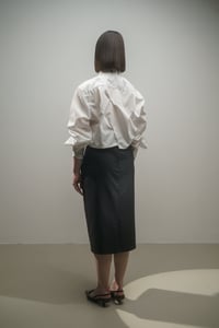 Image 4 of SKIRT 201