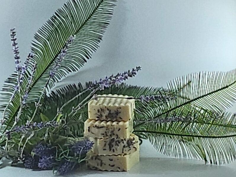 Image of IAOMAI Lavender Specialty Bar