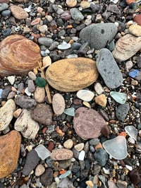 Image 6 of Green Sea Glass Earrings