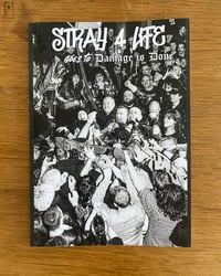 Stray 4 Life zine goes to Damage is Done