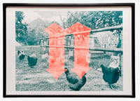 Exhibition for Chickens Risograph Print