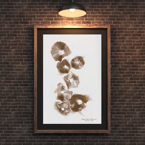 Image of Shaggy Scalycap (Pholiota squarrosa)