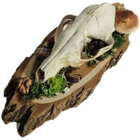 Image 3 of Woodland Themed Fox Skull Plaque