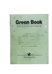 Image 2 of Green Book 