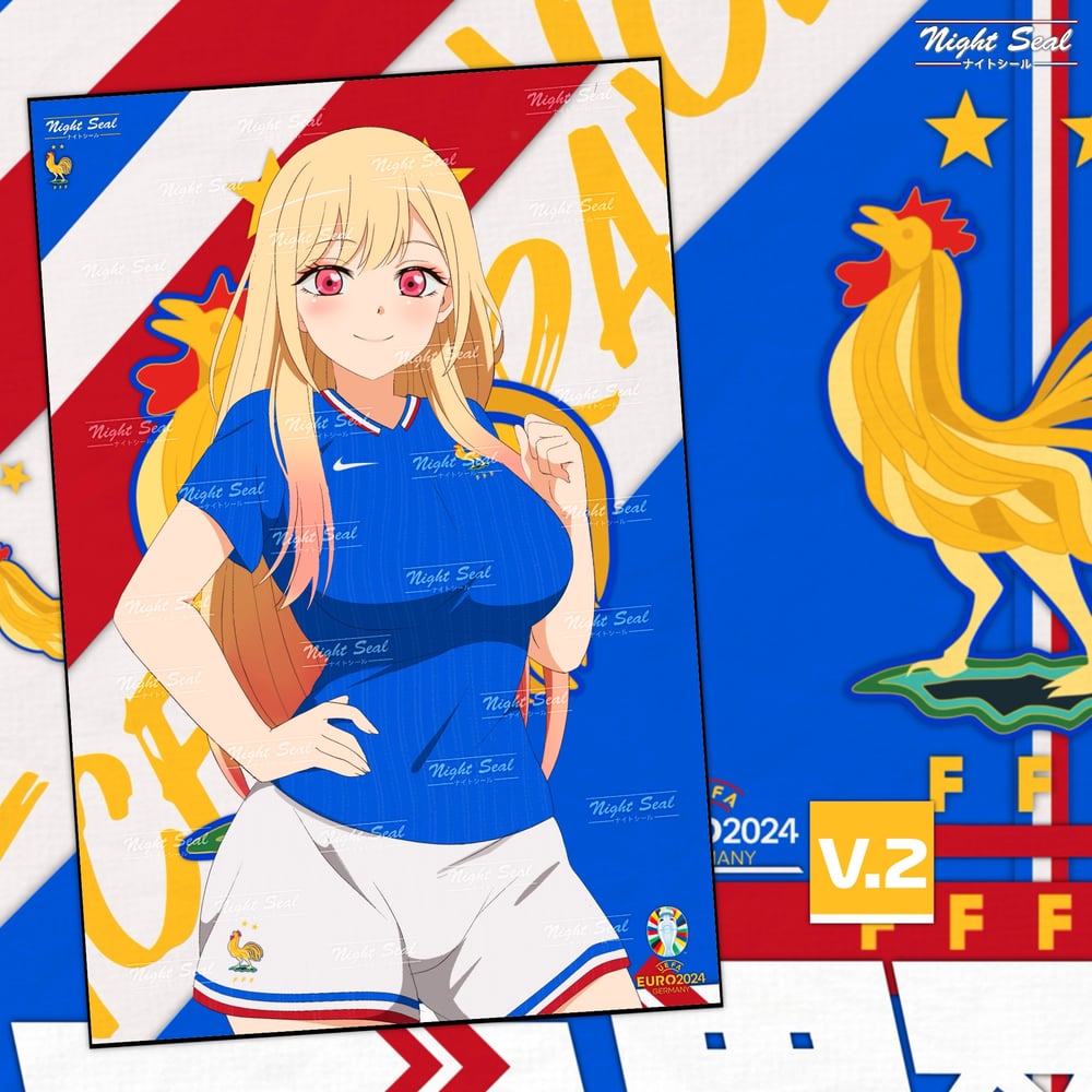 Image of FRANCE (UEFA Euro)