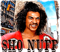 SHO NUFF HOODIE