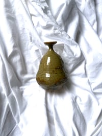 Image 2 of Vert brûlé 