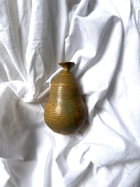 Image 3 of Courge dorée 