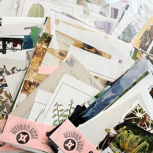 collage card kit [deluxe ephemera & paper packet]