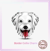 Image 2 of Pet Lovers Charms (real 925 Sterling Silver)