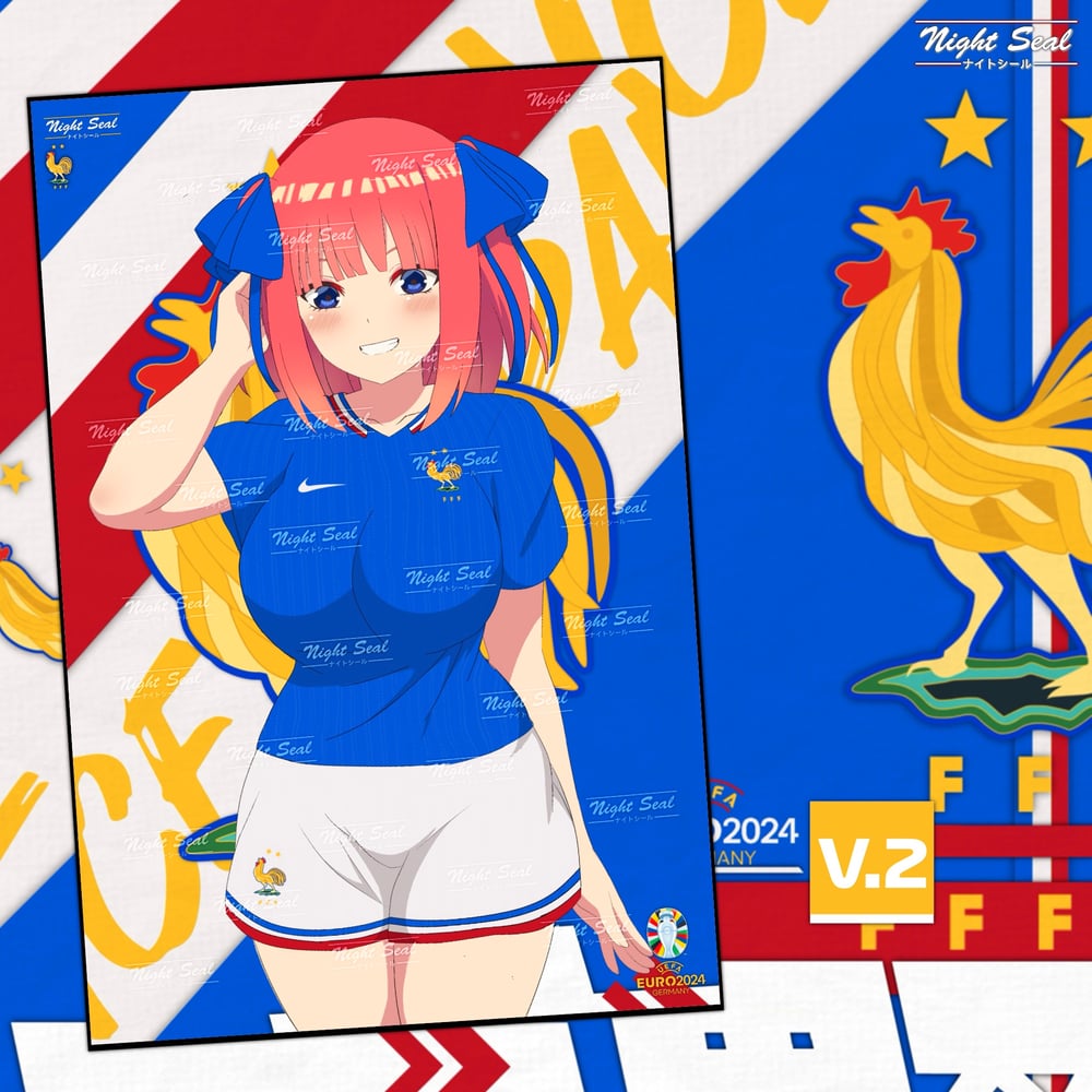 Image of FRANCE (UEFA Euro)