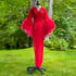 Red Sheer "Selene" Dressing Gown Limited Edition Image 2