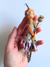 Image 2 of Pumpkin Poppy