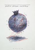 Image of **SOLD OUT** This is Not a Pomegranate (2011)