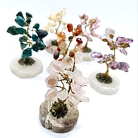 Image 1 of Gemstone Trees