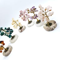 Image 3 of Gemstone Trees