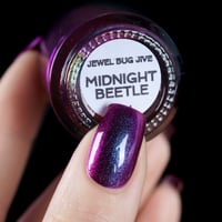 Image 9 of Midnight Beetle