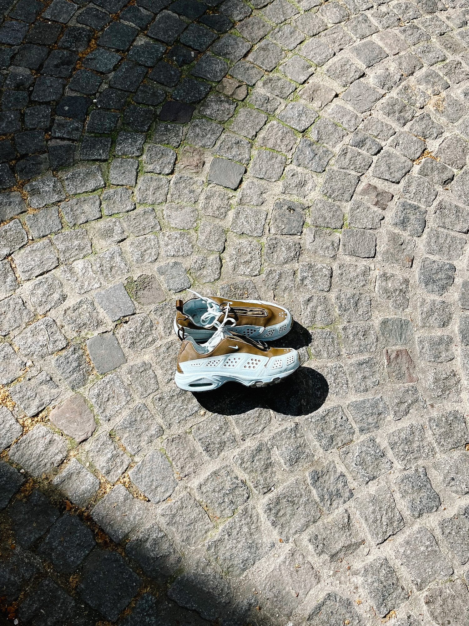 Nike Air Sunder Max Fromm 2000's