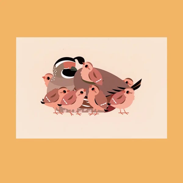 Image of Quail Family Postcard Print